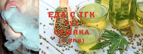 индика Слюдянка