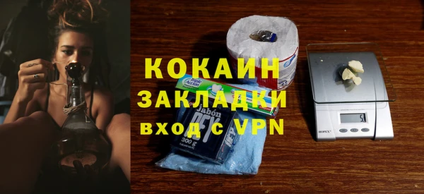 индика Слюдянка