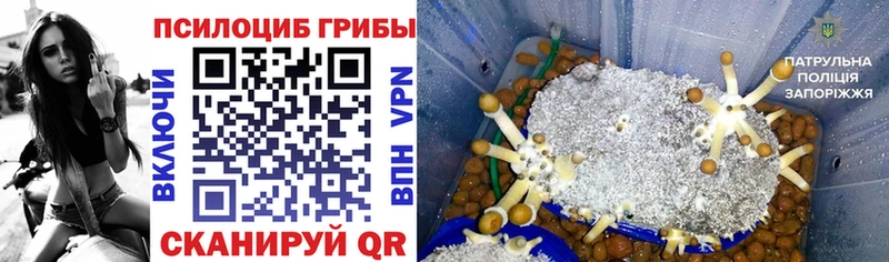 Псилоцибиновые грибы мухоморы Лукоянов